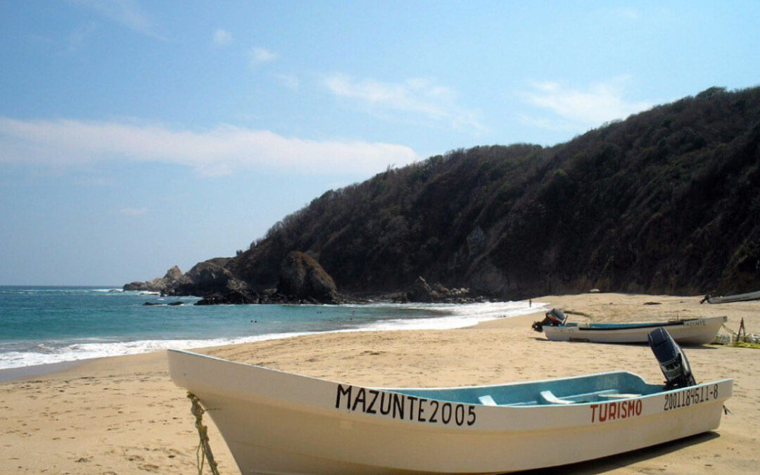 What to do on Oaxaca’s Mazunte & San Agustinillo beaches
